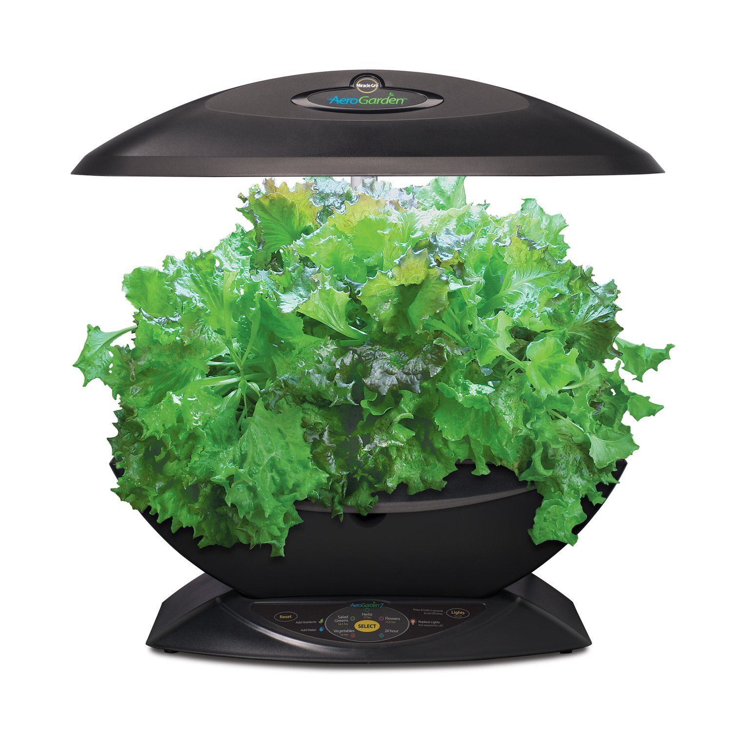 Best Hydroponic System