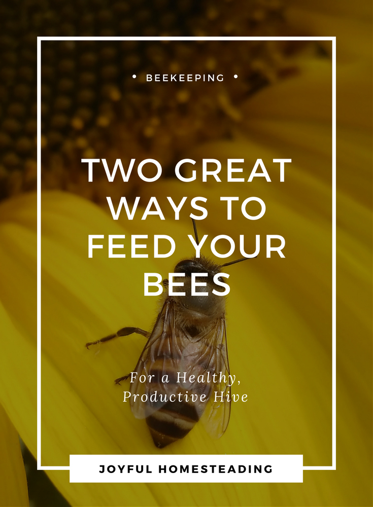 Bee Syrup How to Make It and Use It