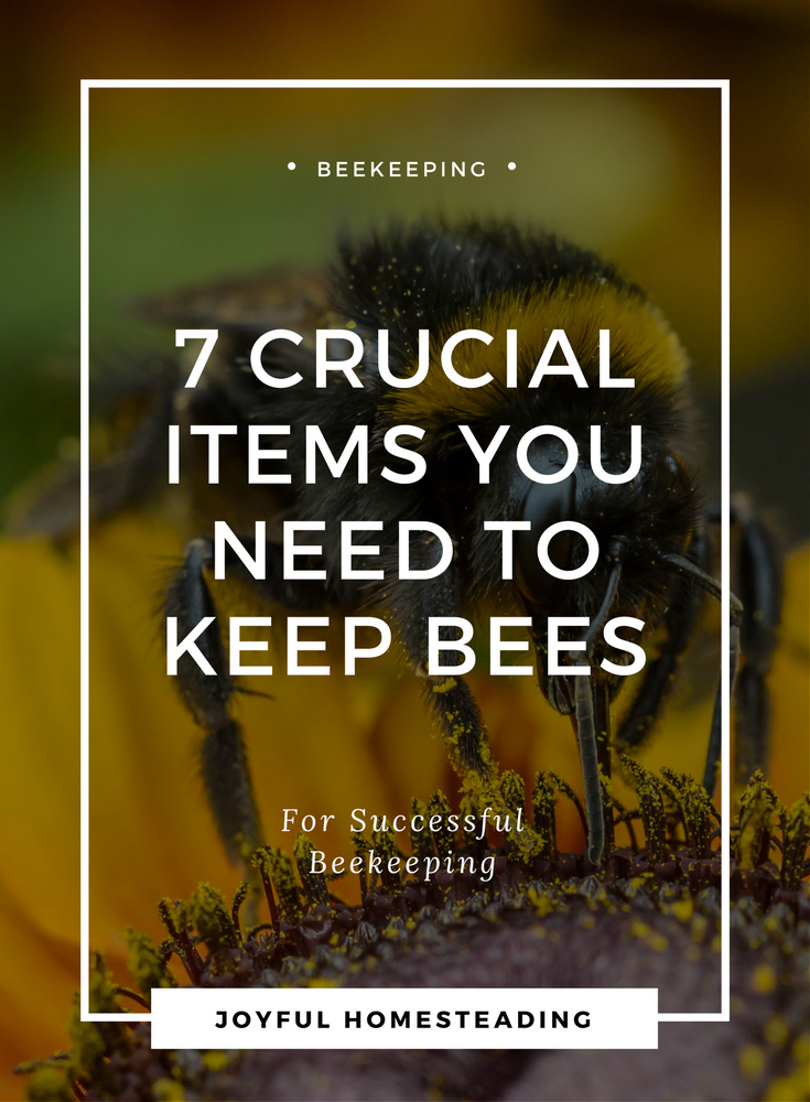 Beekeeping Starter Kit The Right Beekeeping Equipment You Will Need