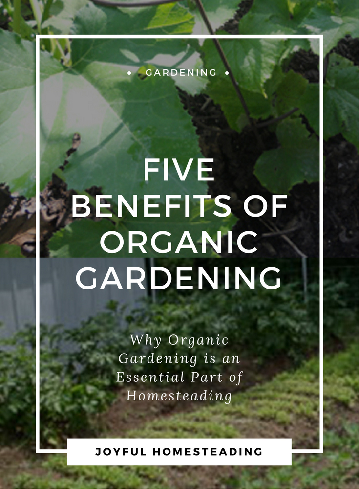 Benefits To Organic Gardening