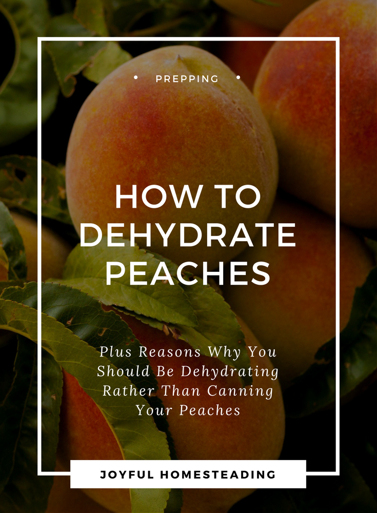 Dehydrating Peaches