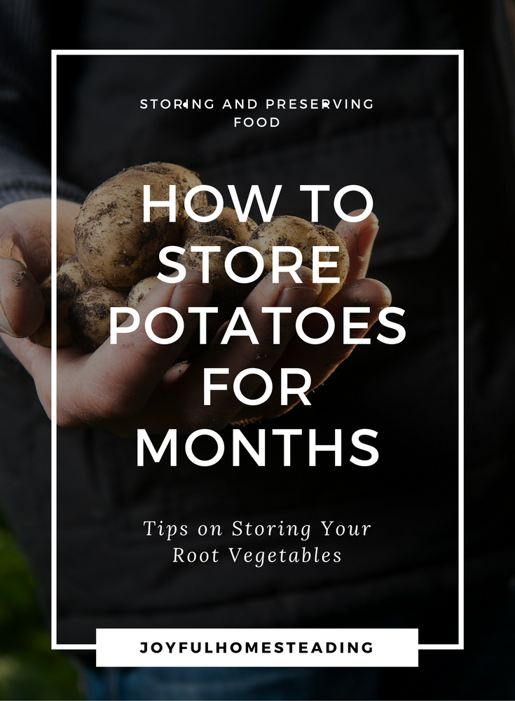 Storing Root Vegetables Tips on Keeping Your Produce Fresh for Months.