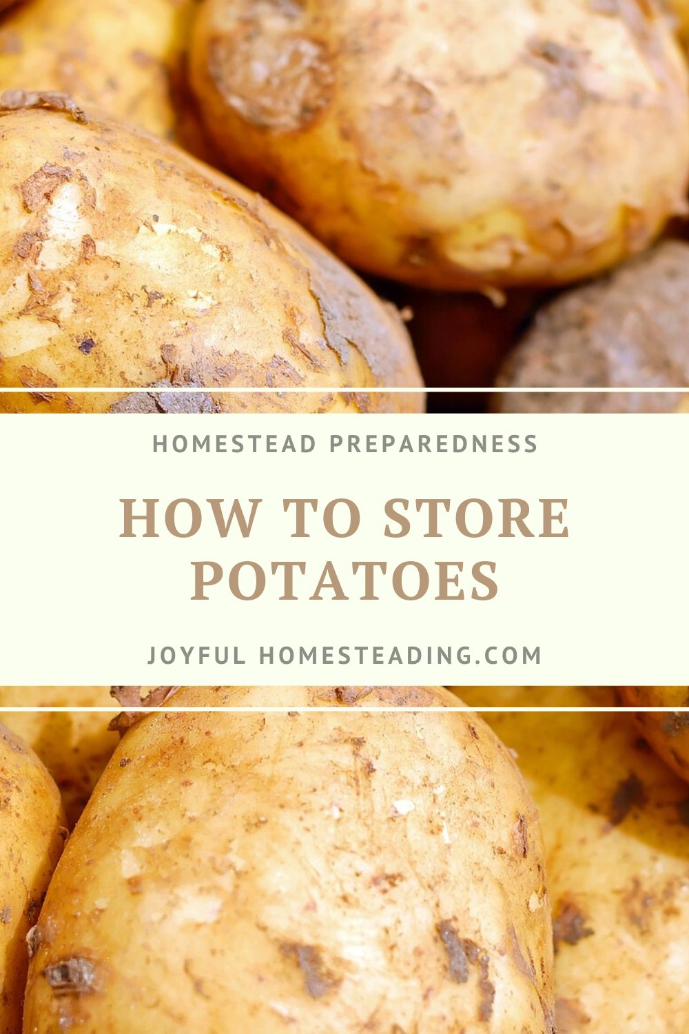 How to Store Potatoes