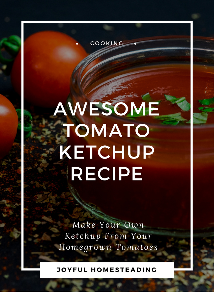 Tomato Ketchup Recipe