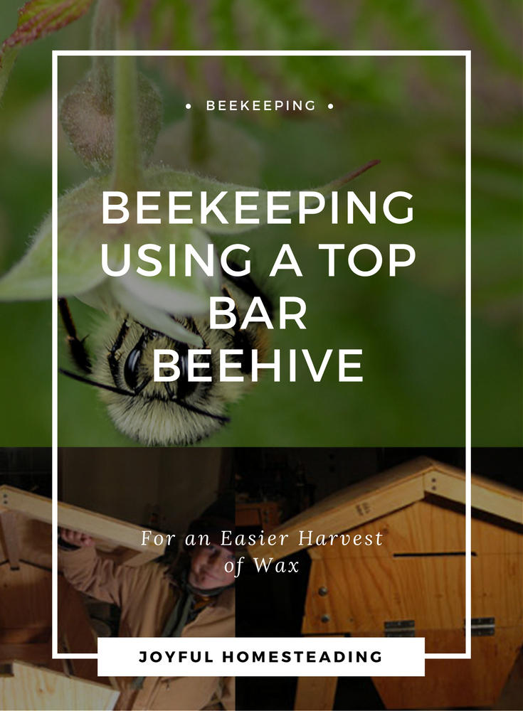 Top Bar Beekeeping For An Abundant Wax Harvest