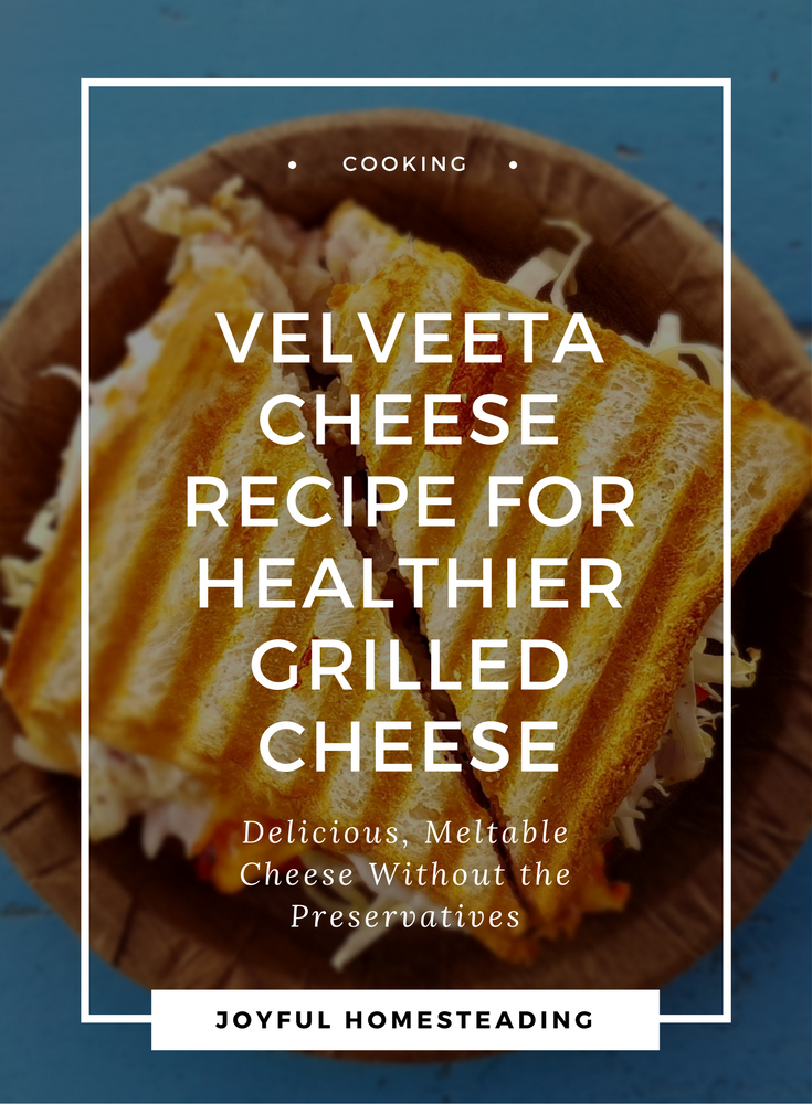 Recipe for Velveeta Cheese Substitute