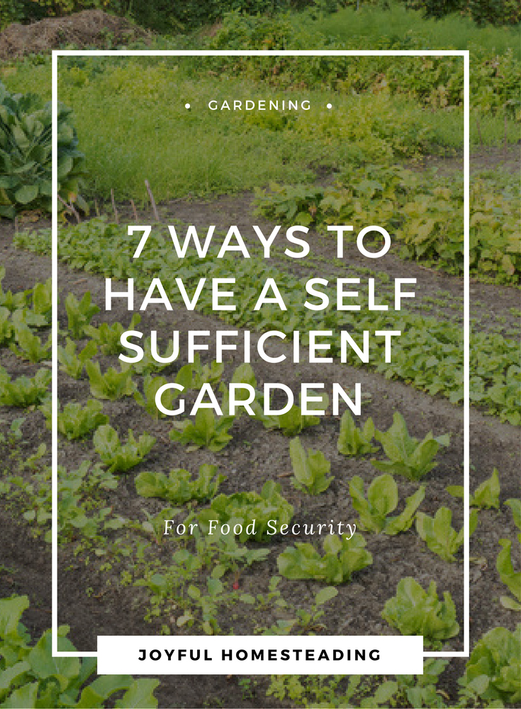 Self Sufficient Gardening