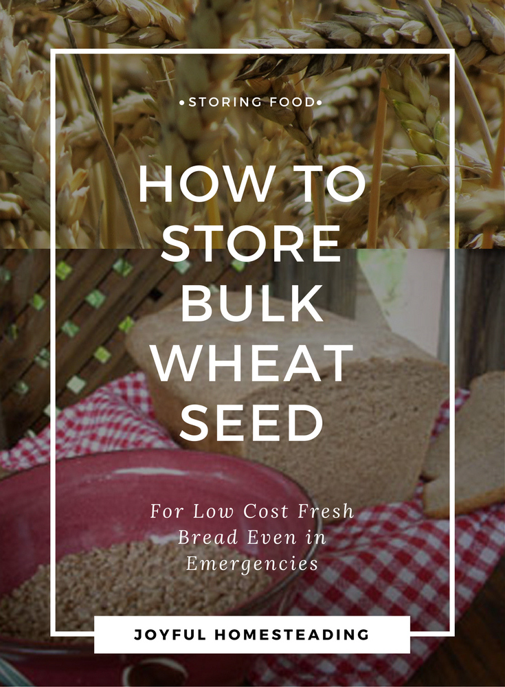 Storing Wheat for the best low cost nutrition available