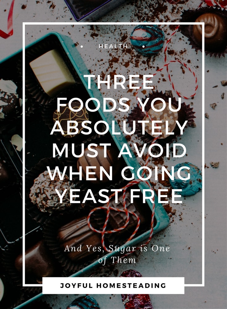 Yeast Free Diet Basics