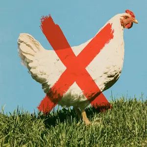 Homesteading legal restrictions in HOA communities may include rules banning chickens.