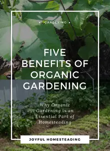 benefits-to-organic-gardening-pin