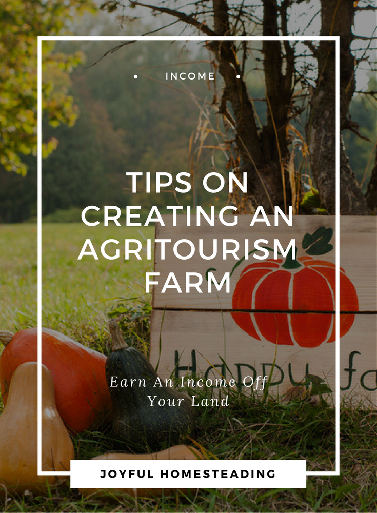 Tips on creating an agritourism farm.