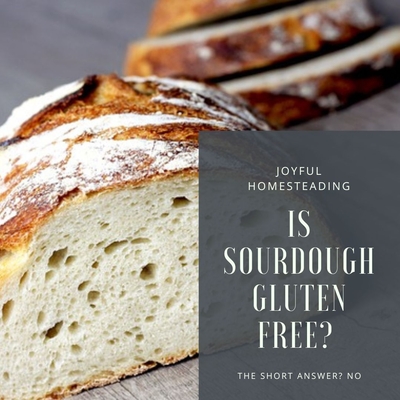 Is sourdough gluten free? While it's not gluten-free, it is easier to digest.