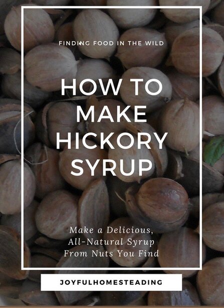 Uses for hickory nuts include making syrup.