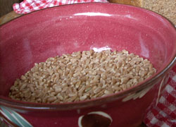 bowl of grains