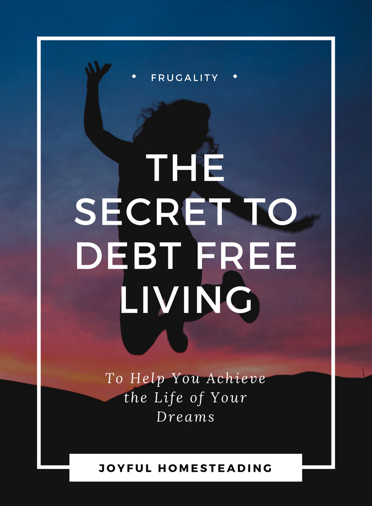 Debt free living
