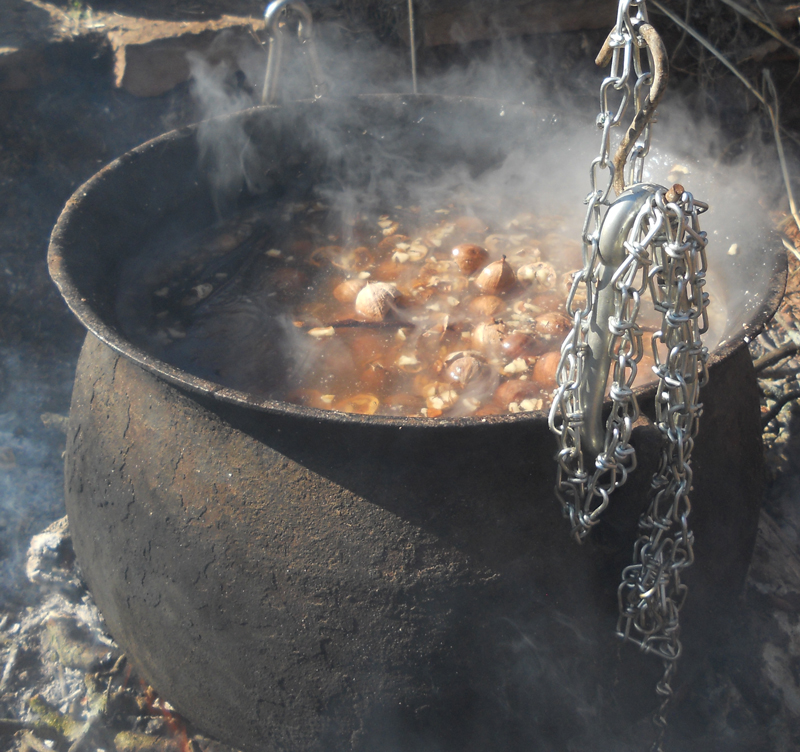 Hickory nuts cooking in a cauldron.