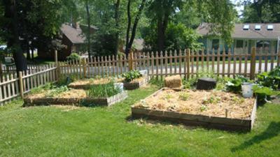 my garden after being planted