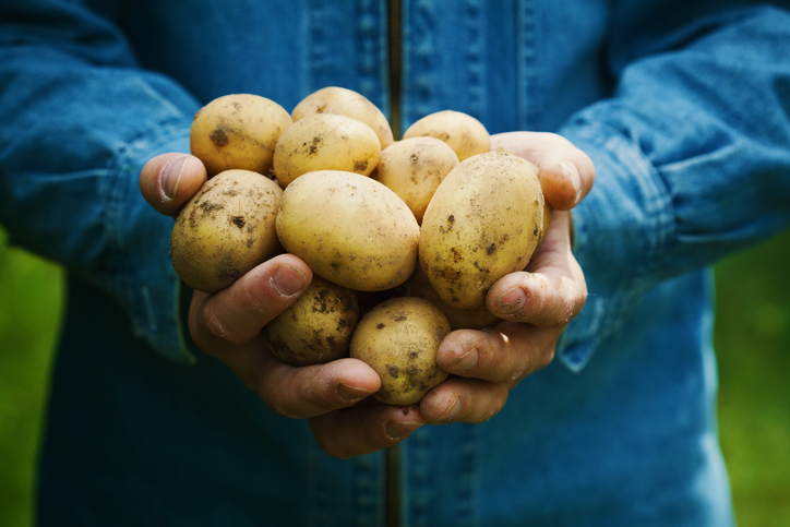 Cooking Potatoes Cooking Potatoes