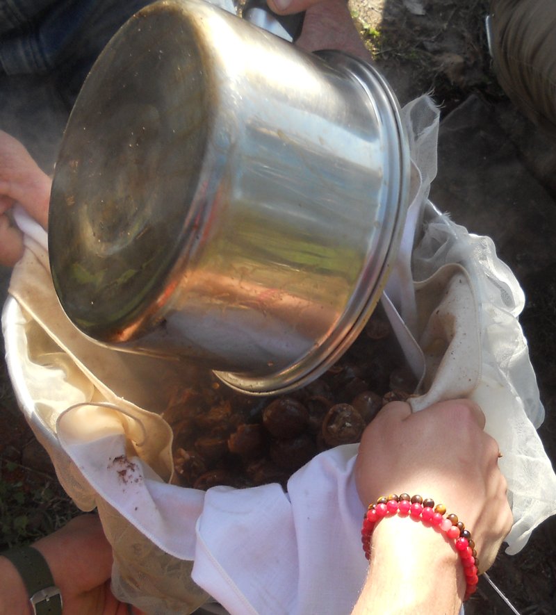 Pouring cooked hickory nuts and water through a strainer.